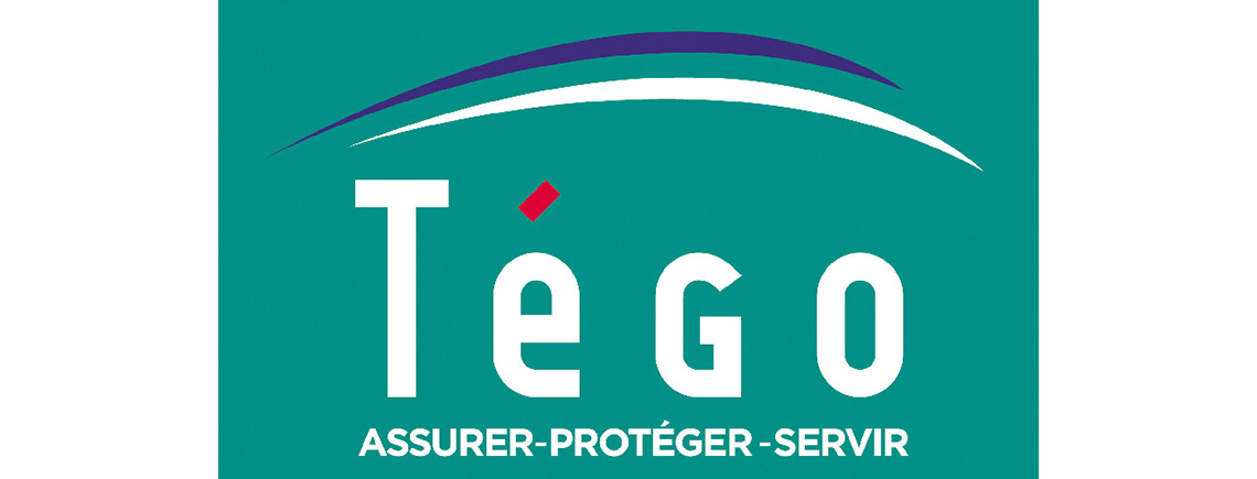 tego logo