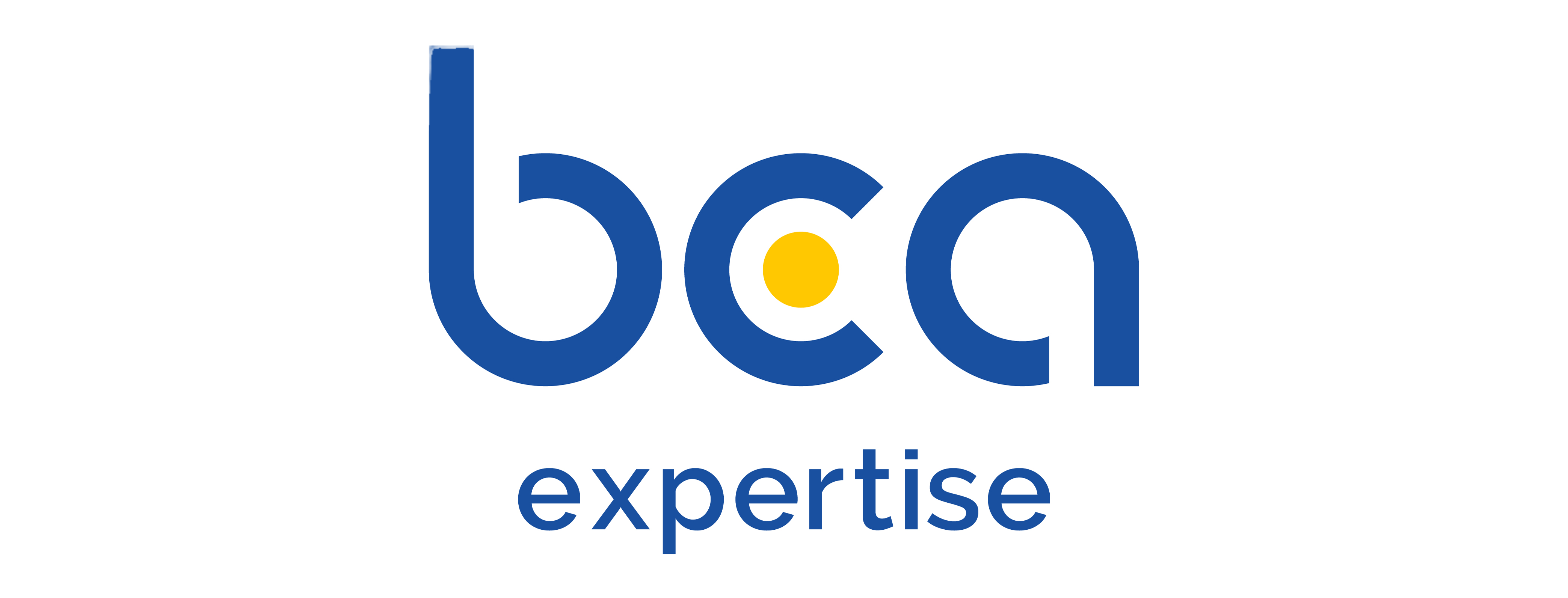 BCA EXPERTISE